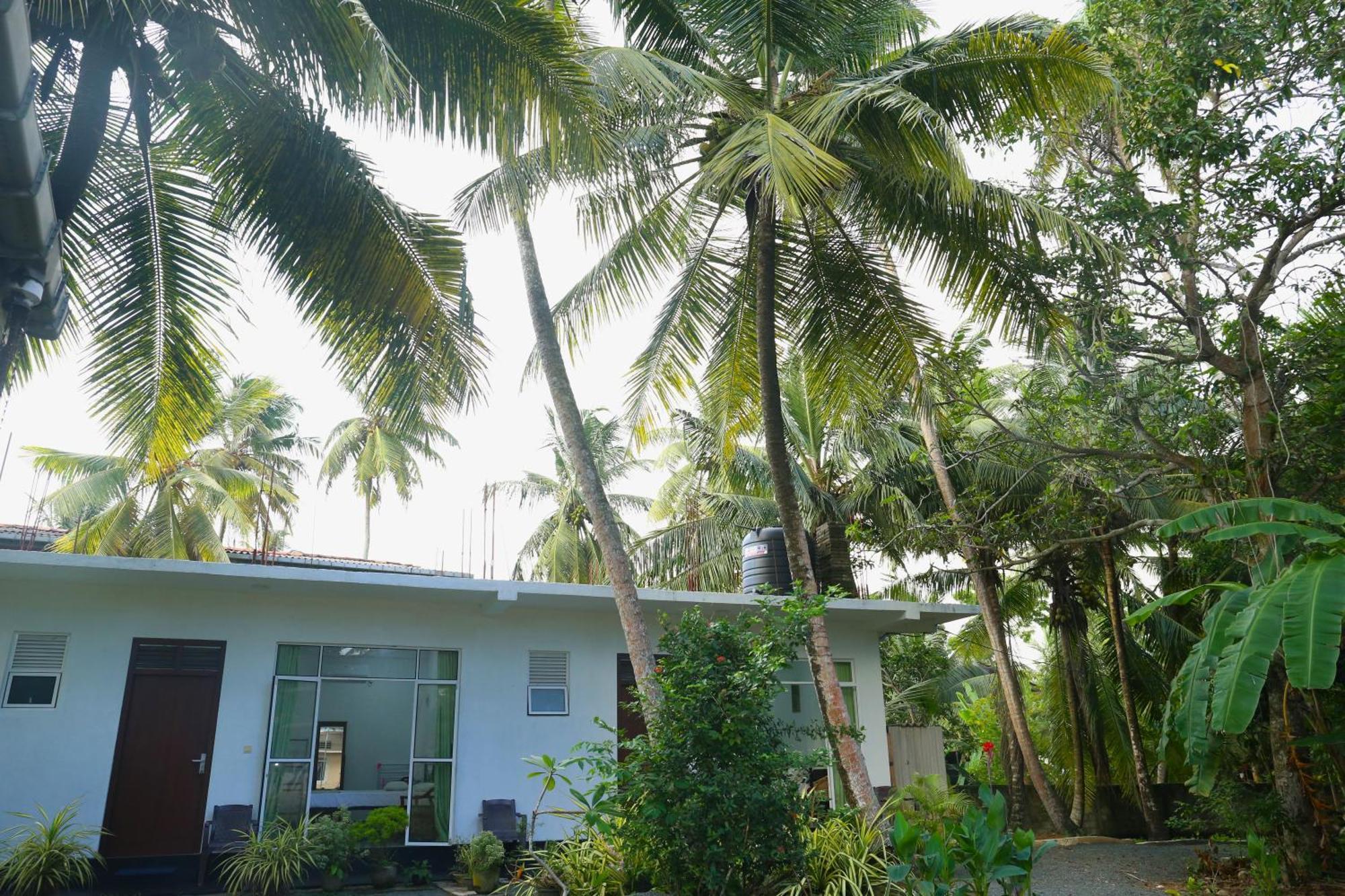 Sandy Palms Guesthouse Hikkaduwa Exterior foto