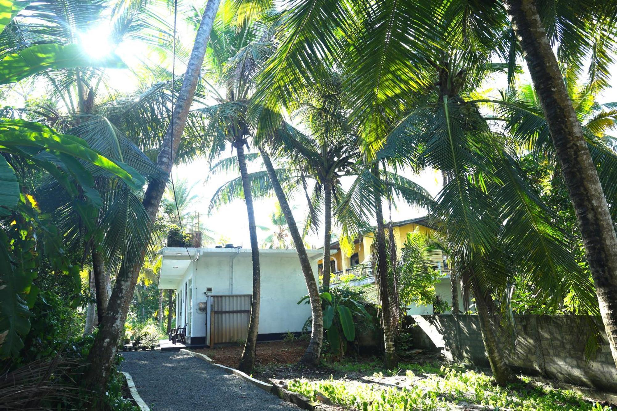 Sandy Palms Guesthouse Hikkaduwa Exterior foto